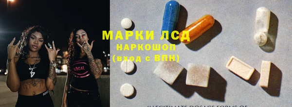 прущие грибы Алзамай
