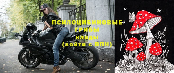 спиды Аркадак