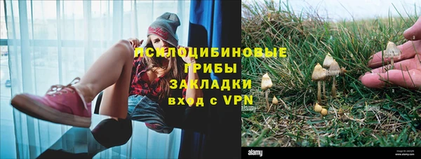 спиды Аркадак