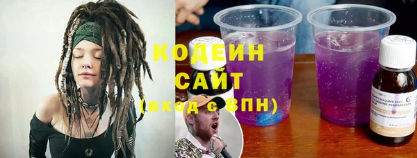 прущие грибы Алзамай